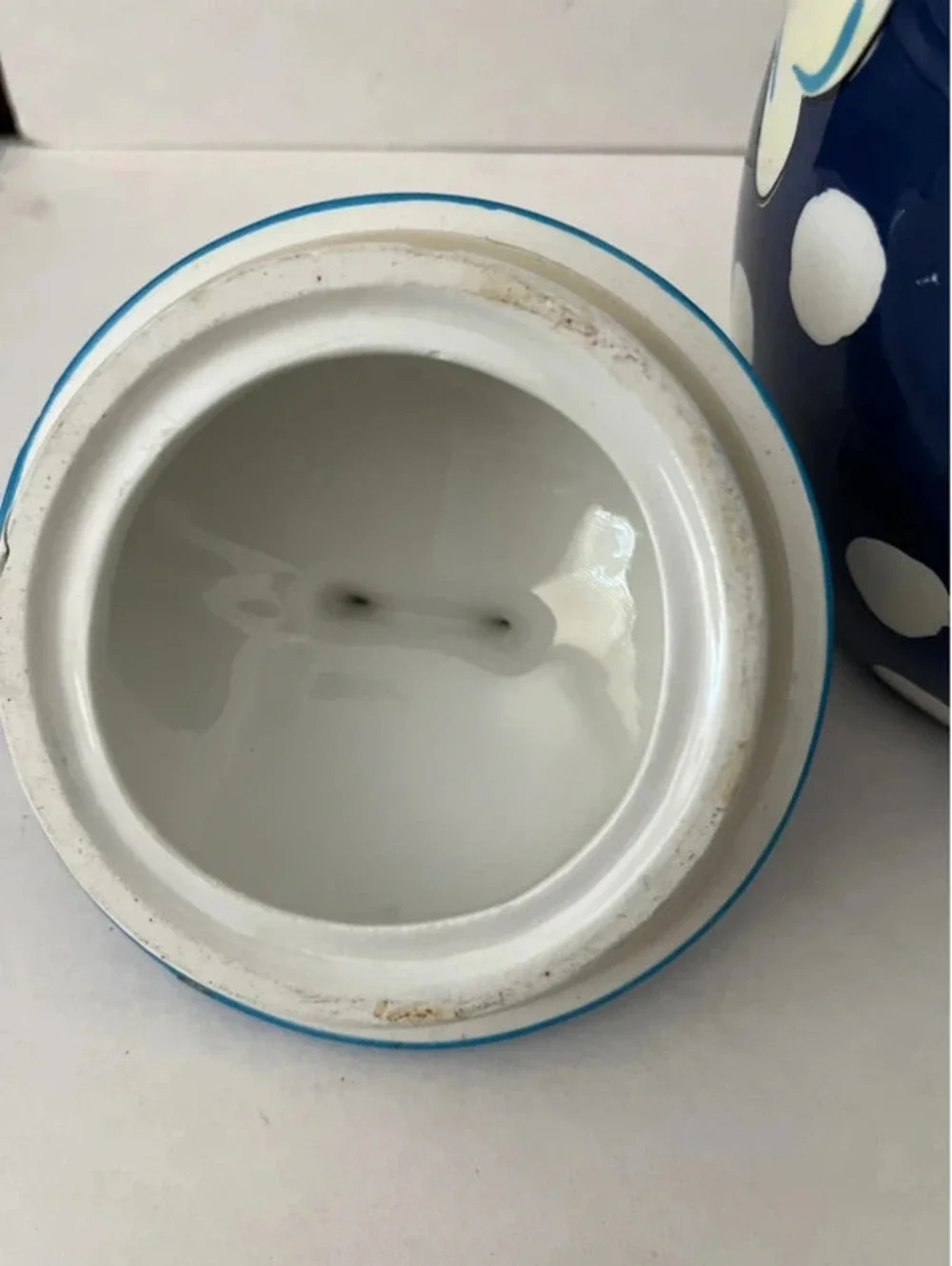 Hausenware Dog Treat Biscuit Bone Canister Cookie Jar Hand Painted Ceramic